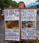 Boycott Dogs4Us Protest Salford